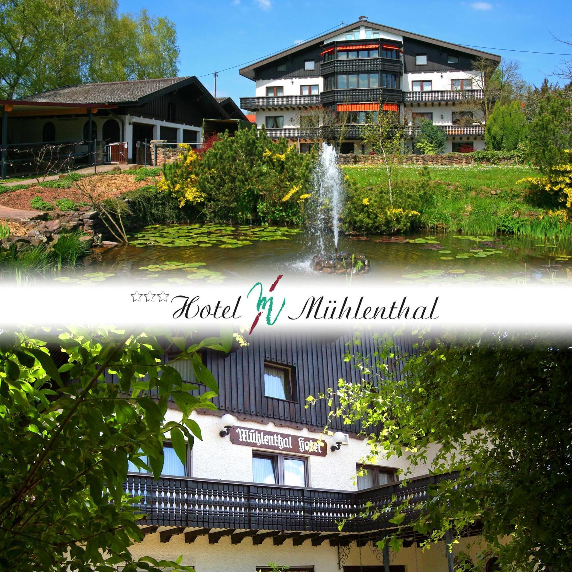 Hotel Muehlenthal Gmbh Schwalbach Екстериор снимка