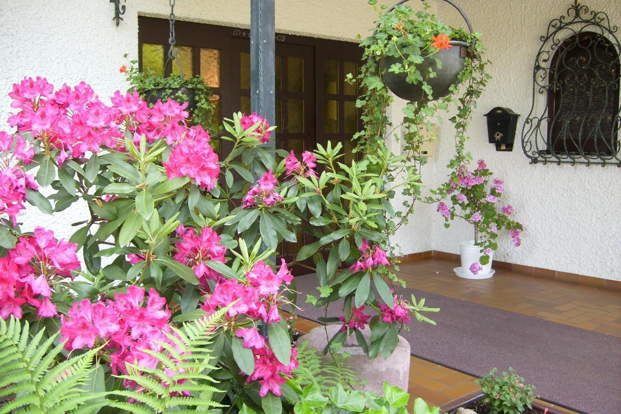 Hotel Muehlenthal Gmbh Schwalbach Екстериор снимка
